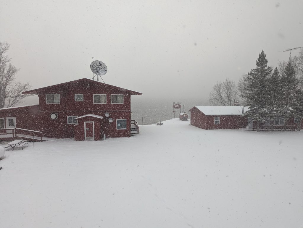 PXL_20240317_124701230