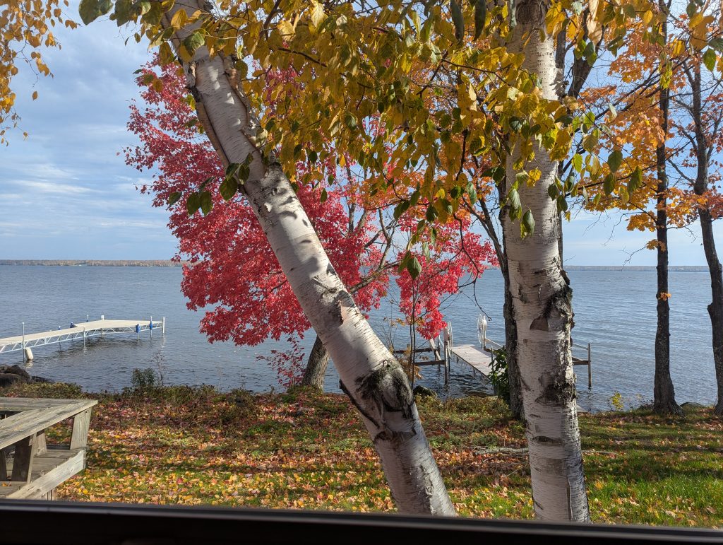 PXL_20251017_162155282